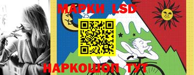 mdpv Краснознаменск