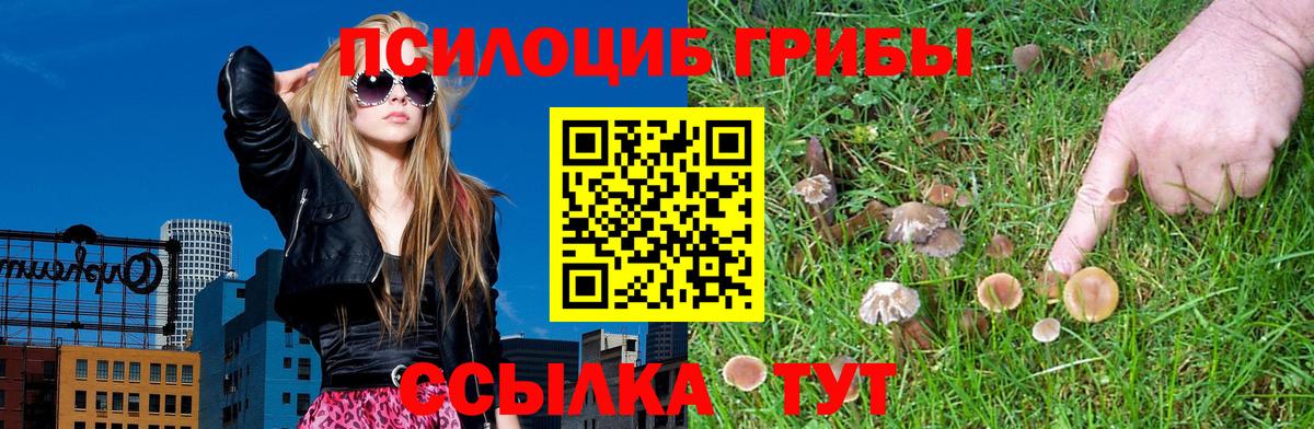 Кострома  Галлюциногенные грибы мухоморы  Вход с VPN 